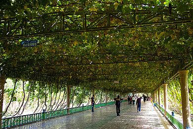 《巨击大乱斗》TGS故事模式预告片 2022年登陆PS4和PC